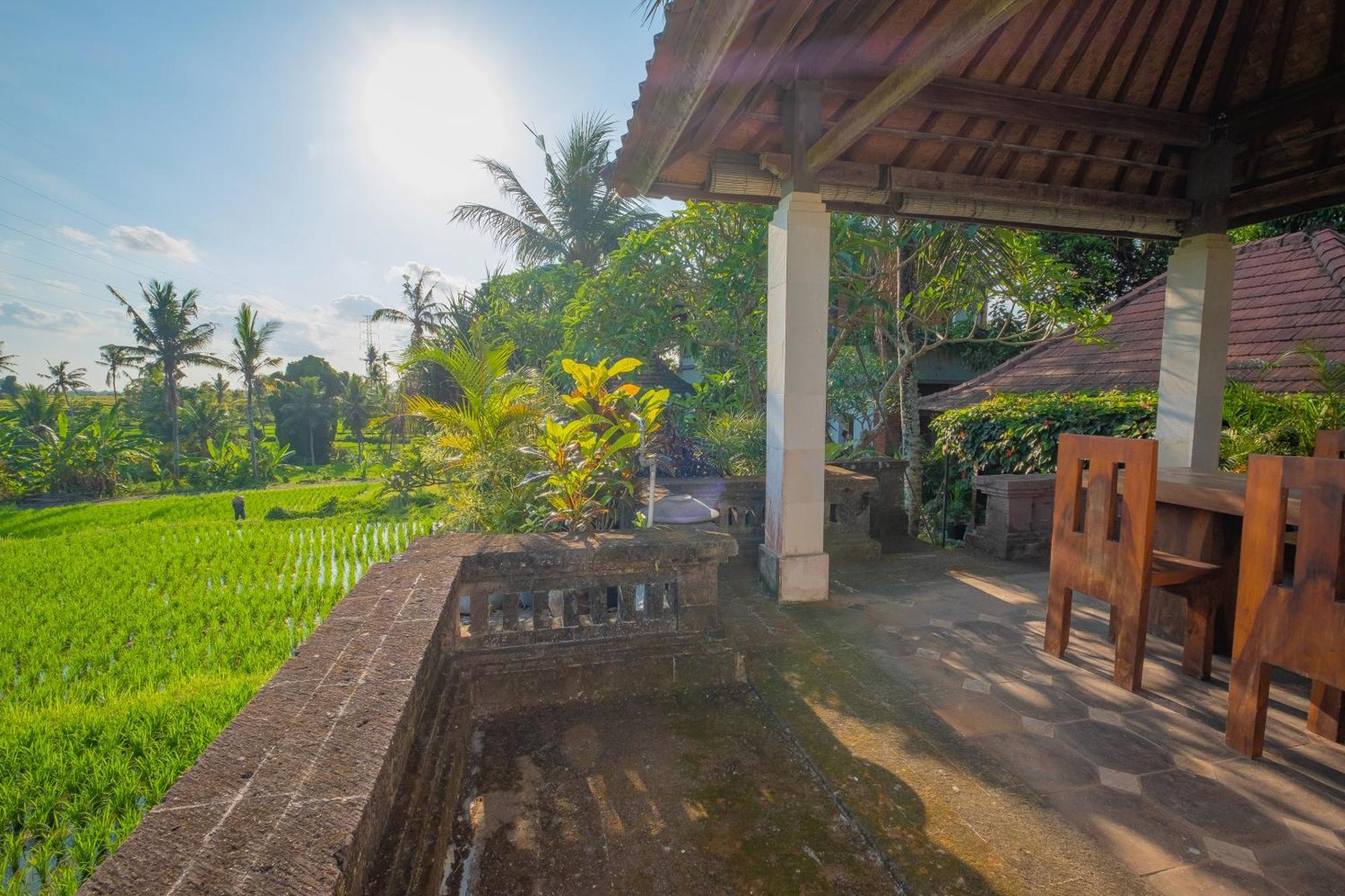Puri Cili Villa Ubud エクステリア 写真